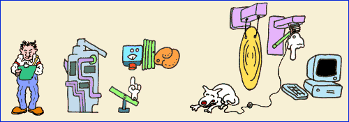 Animations - 216